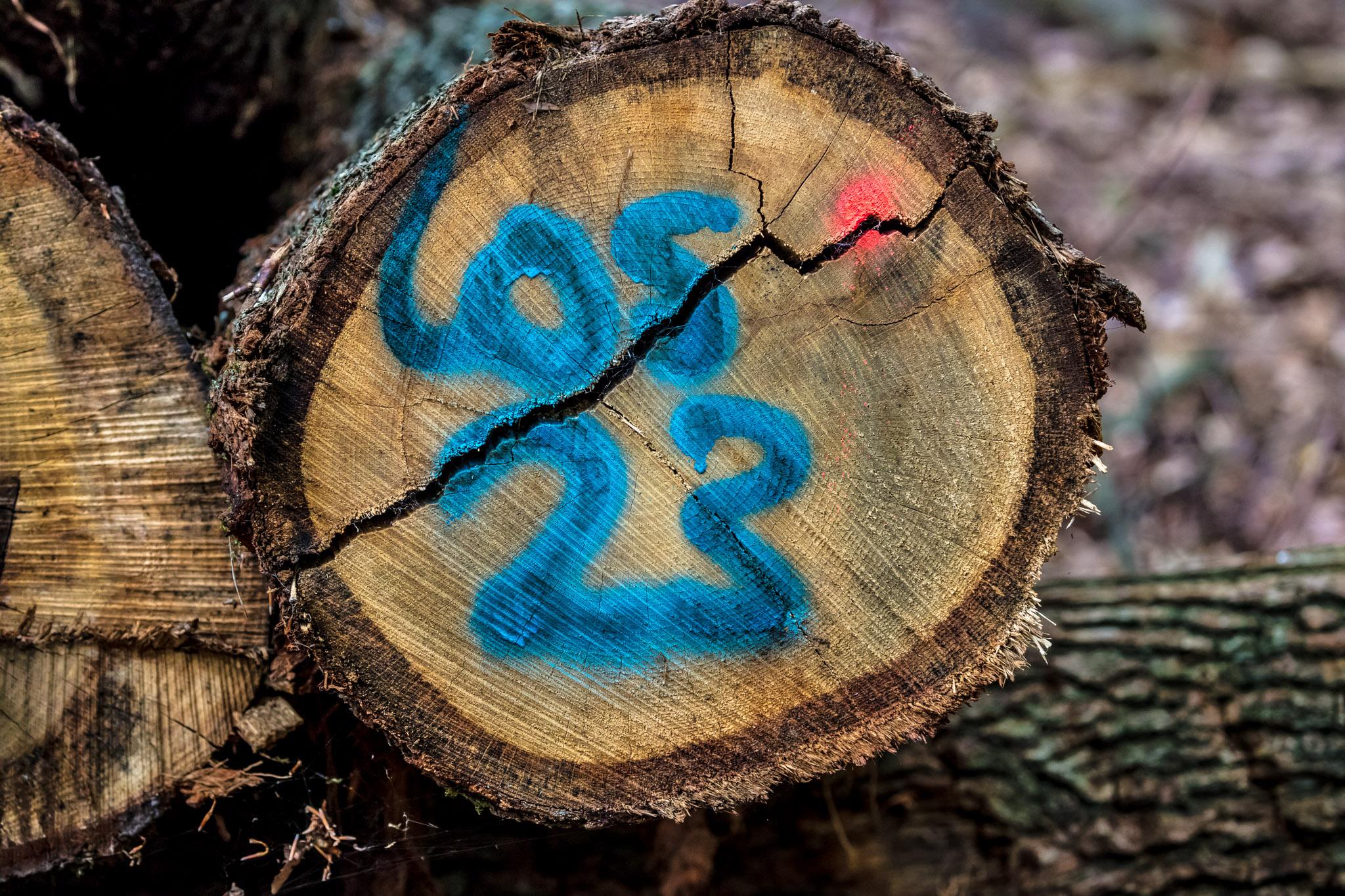 20210725104141 017921